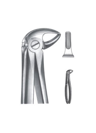  Extracting Forceps – English Patternx
