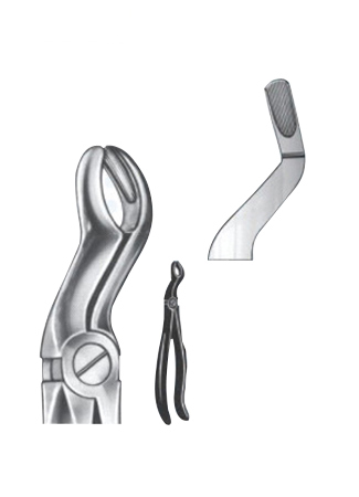 Relax – Extracting Forceps