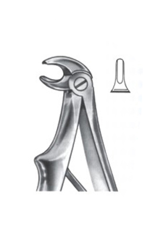  Extracting Forceps For Children – English Pattern