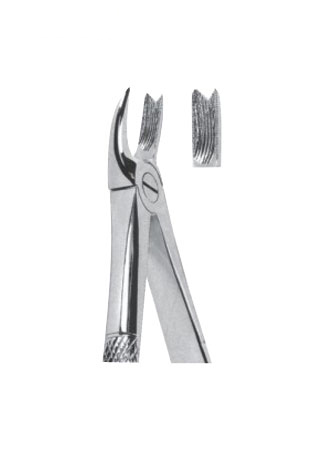  Extracting Forceps – English Pattern