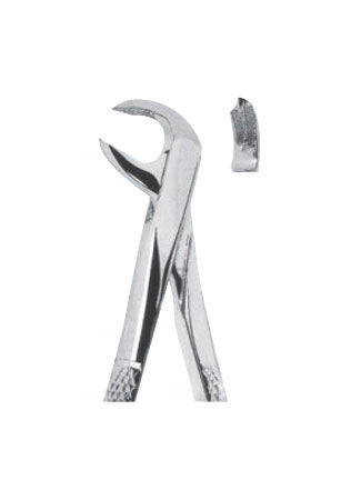  Extracting Forceps – English Pattern