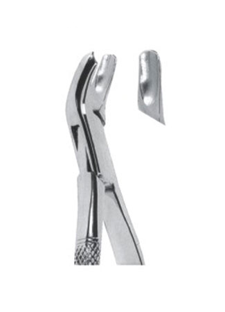  Extracting Forceps – American Pattern