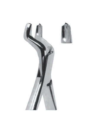  Extracting Forceps – American Pattern